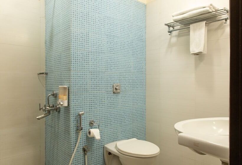 Номер Стандарт, Ginger  Tirupur