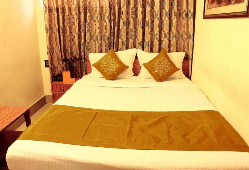 Quarto Estandar, Shila International