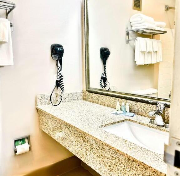 스탠다드 룸 킹사이즈 침대, Quality Inn Fort Worth   Downtown East