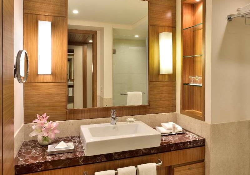 豪华房间, Radisson Blu Hotel, Indore
