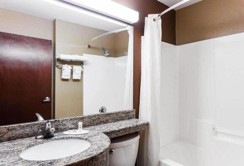 Люкс Кровать Кинг, Microtel Inn & Suites By Wyndham Macon
