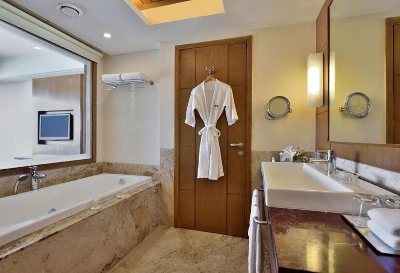 套房, Radisson Blu Hotel, Indore