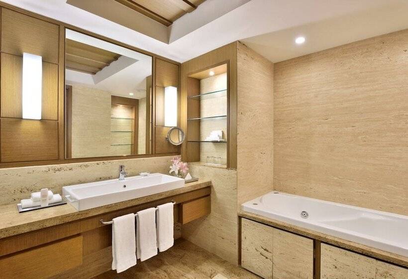 商务房间, Radisson Blu Hotel, Indore
