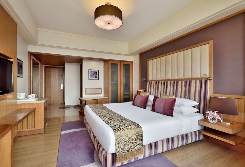 豪华房间, Radisson Blu Hotel, Indore