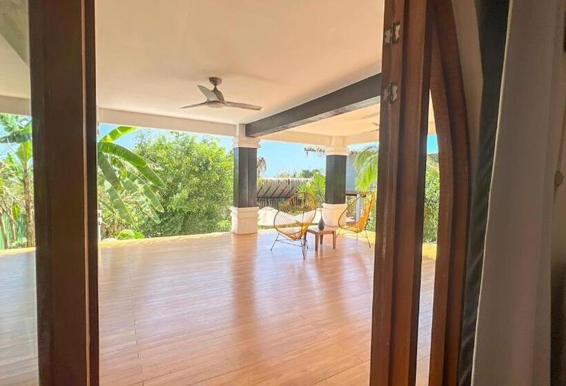 استودیوی استاندارد, Casas Kismet