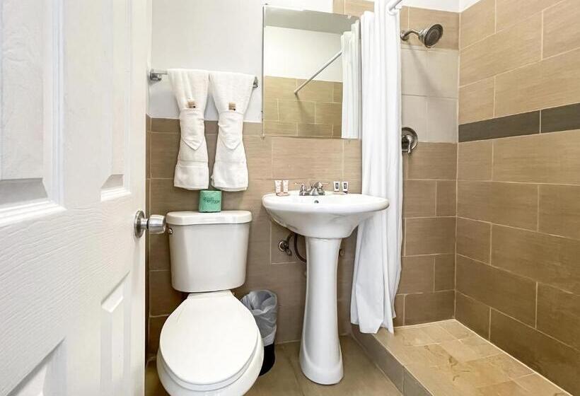 Quarto Superior, Hollywood Beach Hotels