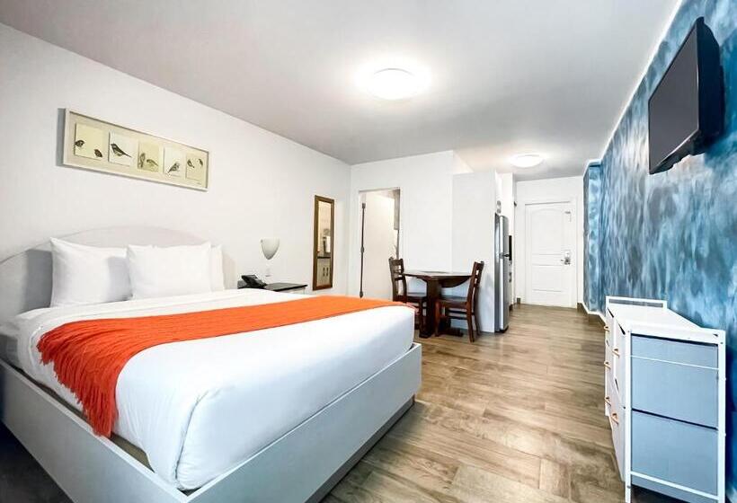 수피리어 인테리어 룸, Hollywood Beach Hotels