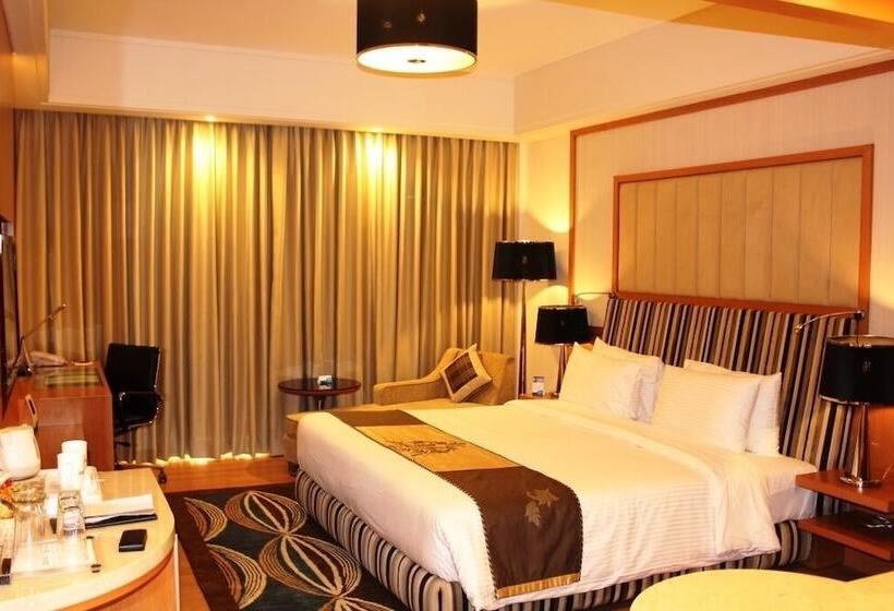 豪华房间, Radisson Blu Hotel, Nagpur