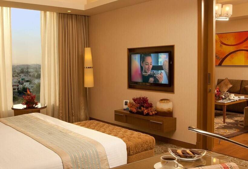 套房, Radisson Blu Hotel, Nagpur