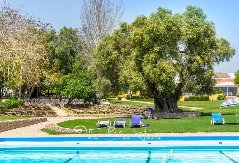 آپارتمان 1 خوابه با چشم‌انداز باغ, The Blue House, Pedras D El Rei, Tavira