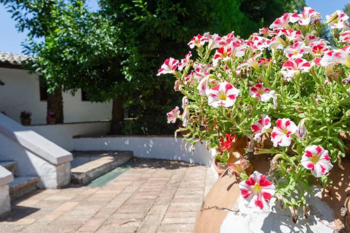 Апартаменты 1 Спальня, Casa Marialuisa