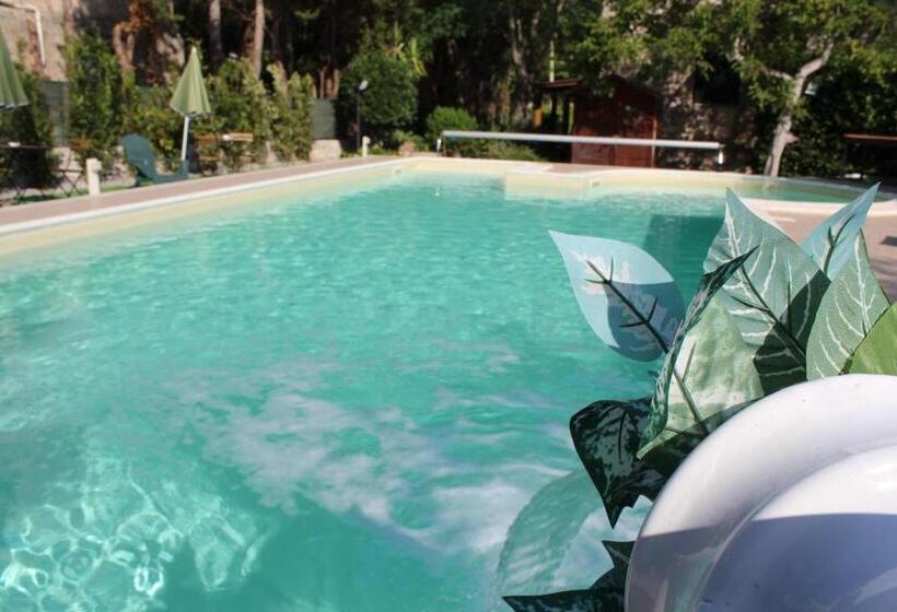 اتاق استاندارد, Domus Relax