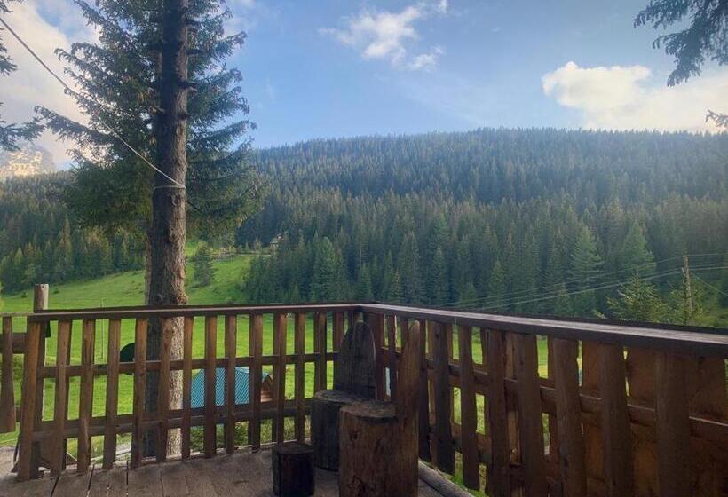 کلبه ییلاقی, Pinetrees Lodge