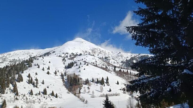 تختخواب در اتاق مشترک, Pinetrees Lodge
