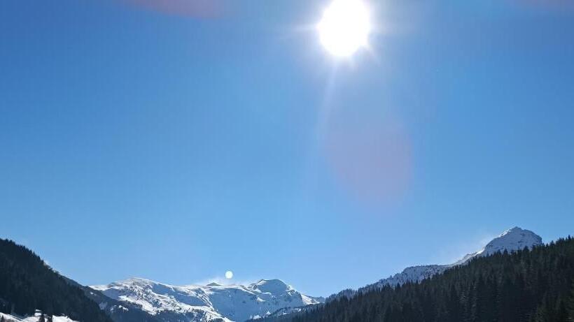 تختخواب در اتاق مشترک, Pinetrees Lodge