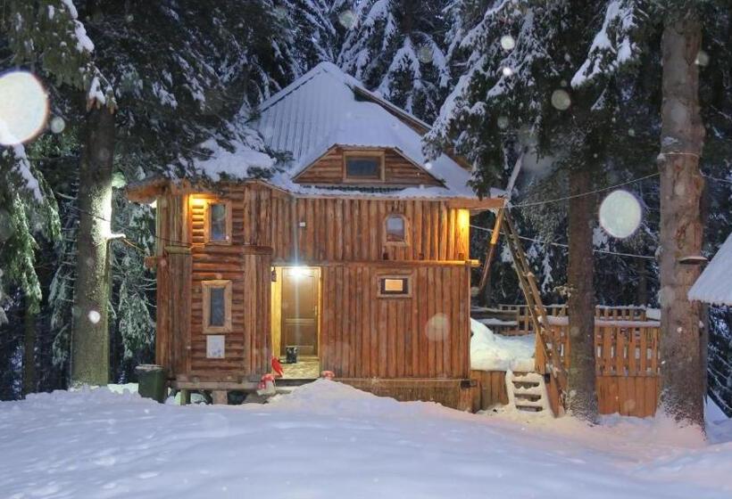 تختخواب در اتاق مشترک, Pinetrees Lodge
