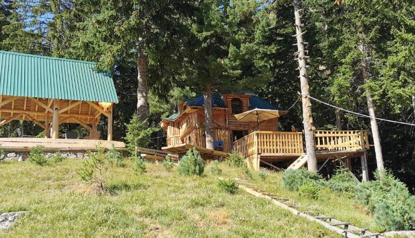 تختخواب در اتاق مشترک, Pinetrees Lodge