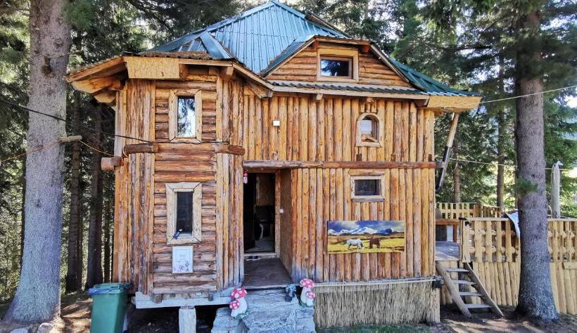 کلبه ییلاقی, Pinetrees Lodge
