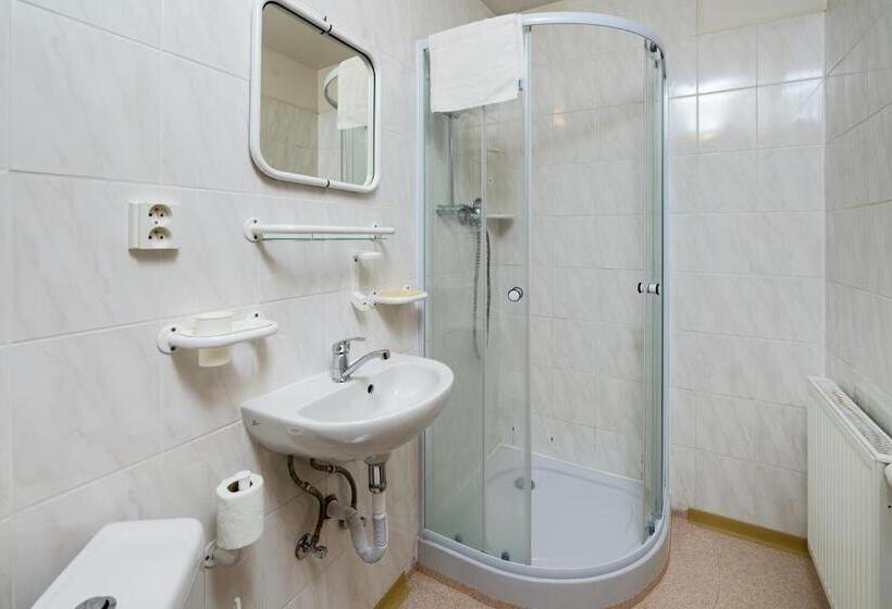 חדר סטנדרט, Astoria Inn