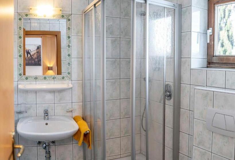 Апартаменты 3 Спальни, Almhof Reithof Pitztal