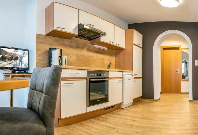Апартаменты 1 Спальня, Almhof Reithof Pitztal