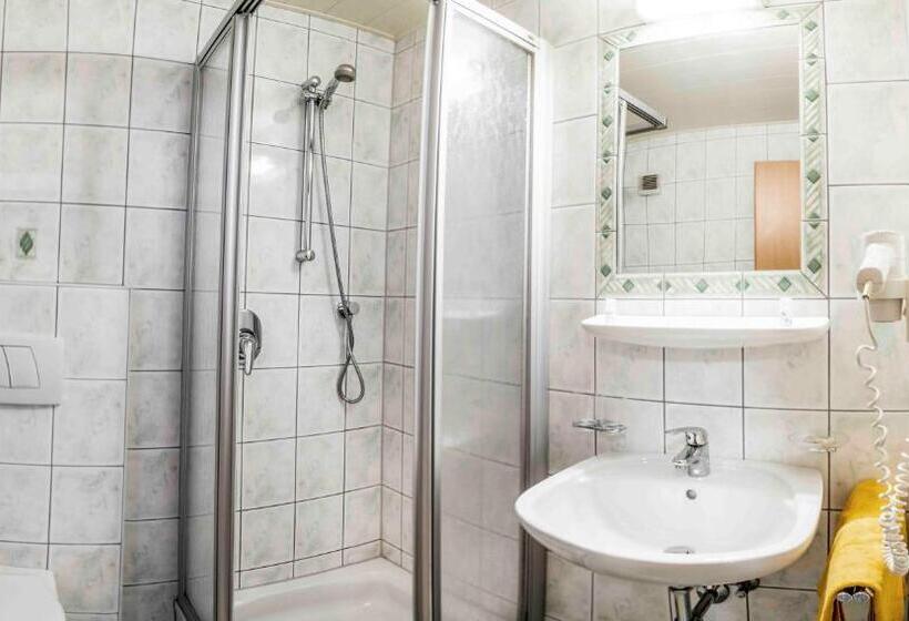 Апартаменты 3 Спальни, Almhof Reithof Pitztal