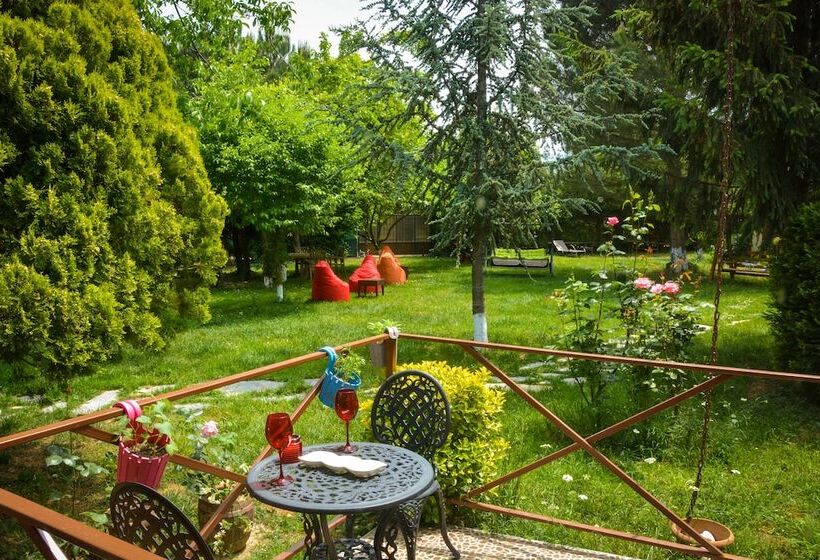 سوییت خانوادگی, Alex Village Life
