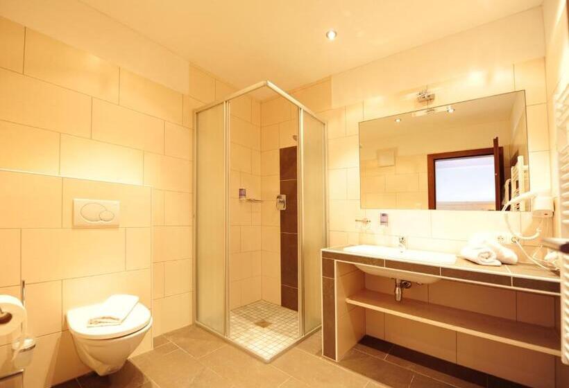 Трехместный Номер Deluxe, Gasthof Zum Schwanen