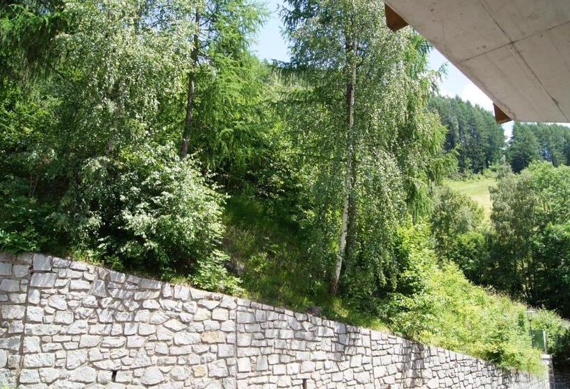 Номер Стандарт, Alpin Panoramahotel Lärchenhof