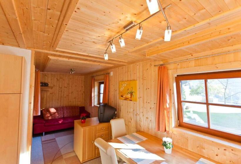 Апартаменты 1 Спальня Нижний Этаж, Bodnerhof
