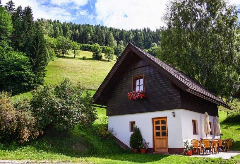 Апартаменты 1 Спальня, Bodnerhof