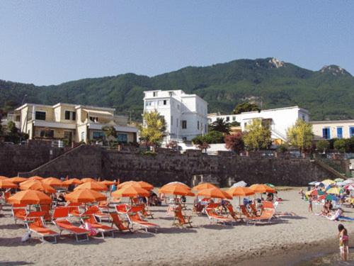 استودیوی استاندارد, Excelsior Mare Suite