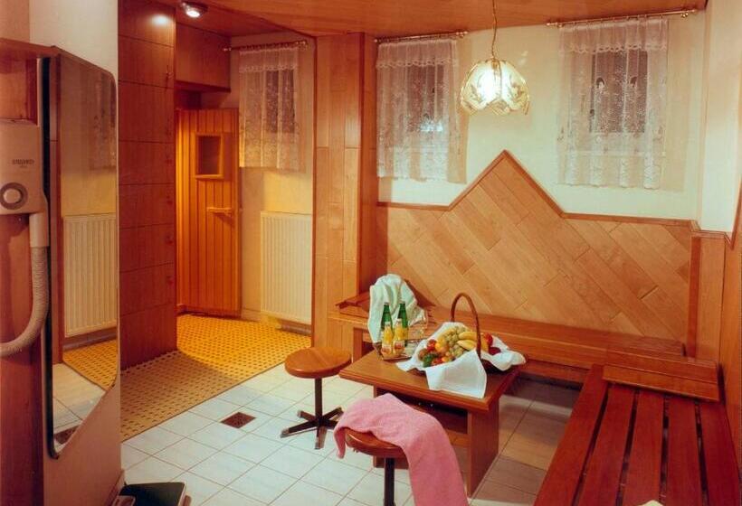 Номер Стандарт, Hallerhof