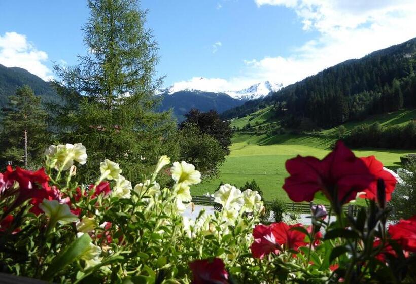 1 Bedroom Apartment Mountain View, Zittrauerhof   Urlaub Am Bauernhof Gastein