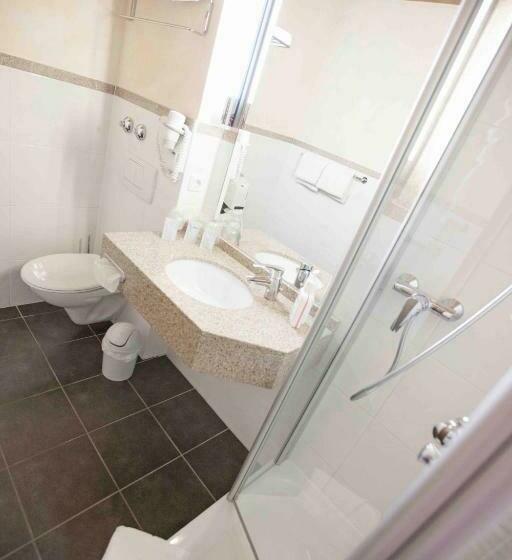 Quarto Estandar Individual, Alter Hof