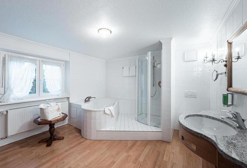 Полулюкс Вид на Горы, Mittelburg Wellness