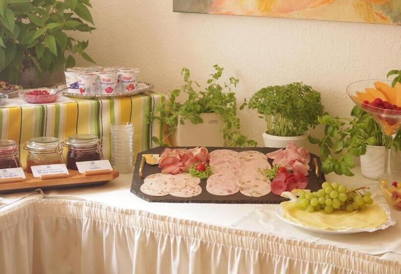 Номер Стандарт Индивидуальный, Land Gut Hotel Landgasthof Hotel Ochsen