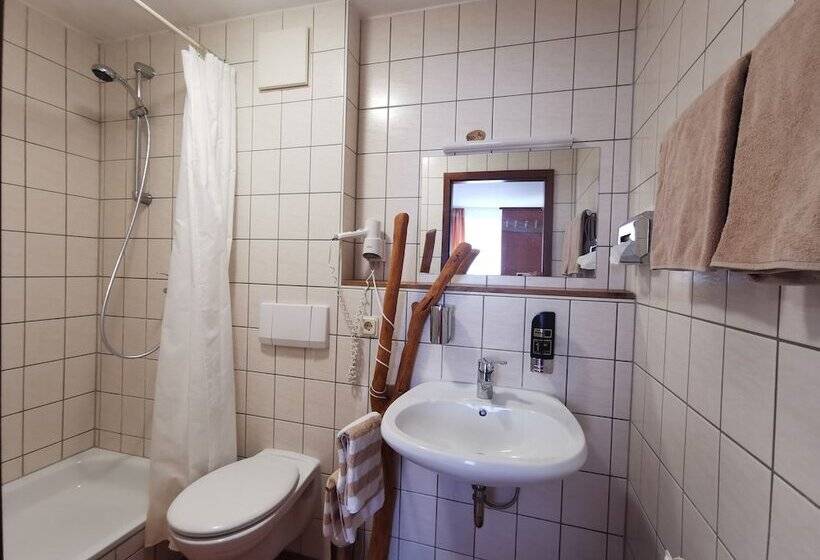 Апартаменты Комфорт 1 Спальня, Gasthaus & Hotel Drei Lilien