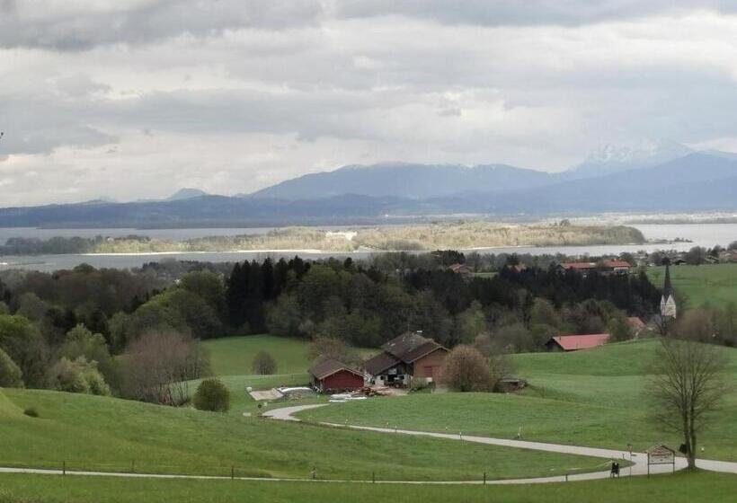 Номер Стандарт Индивидуальный, Berg Hotel Weingarten Garni