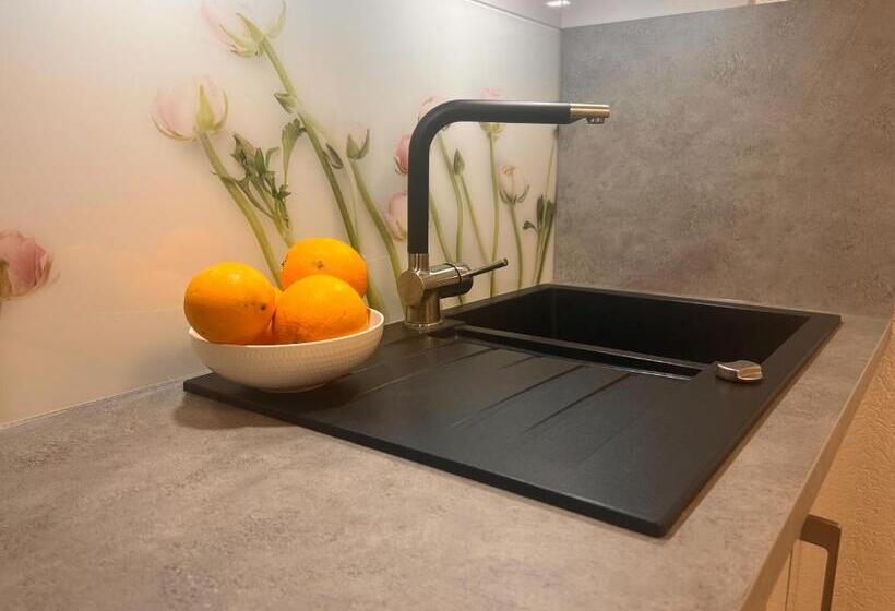 Апартаменты Deluxe 2 Спальни, Service Apartments Am Prinzenplatz   Superior