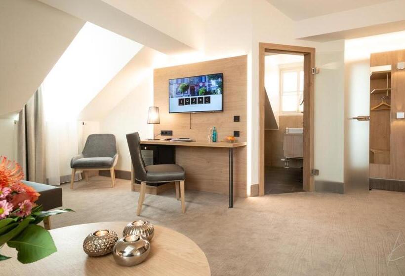 舒适型房间, Romantik Hotel Villa Sayn