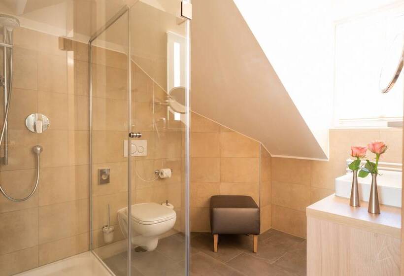 舒适型房间, Romantik Hotel Villa Sayn