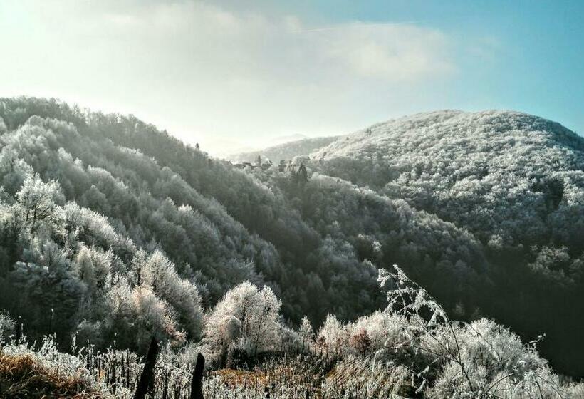 خانه 1 خوابه, Discover The Magic Of Nature