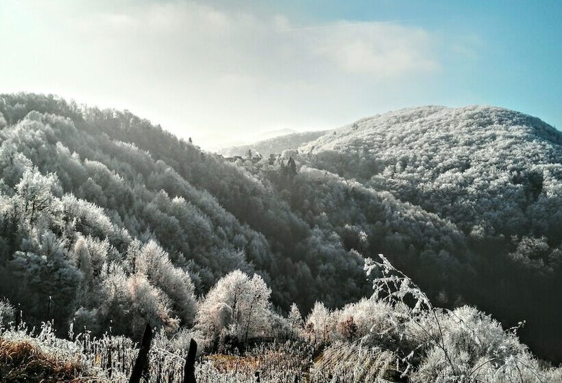 خانه 1 خوابه, Discover The Magic Of Nature