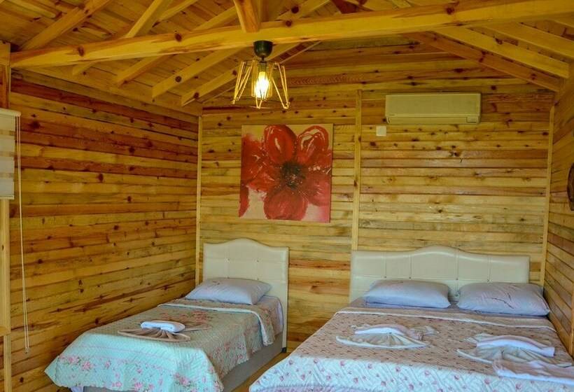 Апартаменты Basic 1 Спальня, Cakir Bungalov Evi