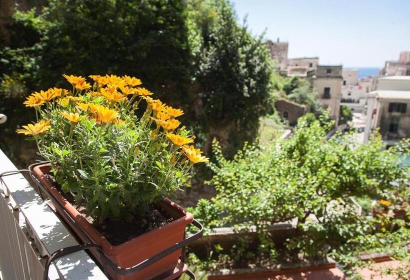 اتاق استاندارد, L'argine Fiorito