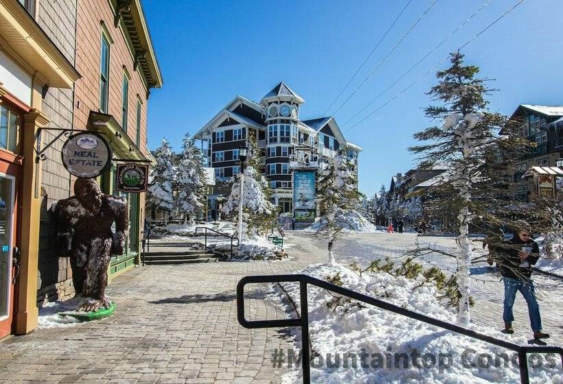 家族用アパートメント, Mountaintop Condos