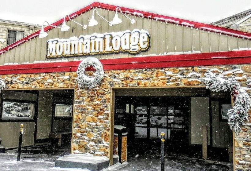 １ベッドルームアパートメント, Mountaintop Condos