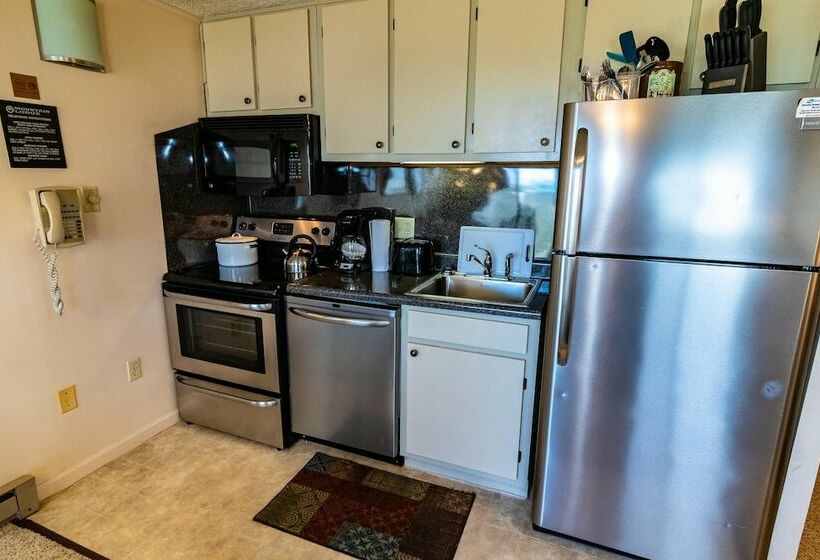 １ベッドルームアパートメント, Mountaintop Condos