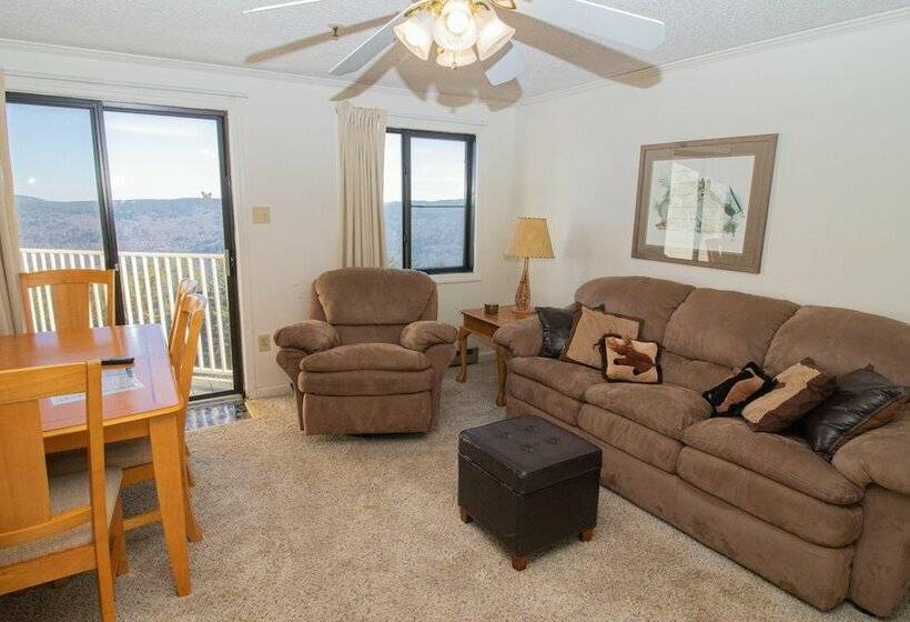 １ベッドルームアパートメント, Mountaintop Condos